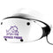 Horned Frogs TCU PlayStation VR2 Skin