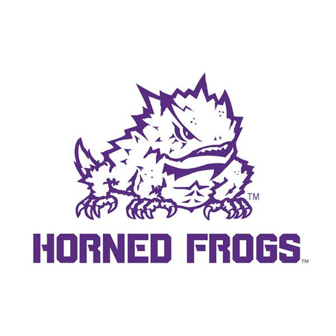 Horned Frogs TCU PS4 Slim Skin