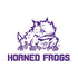 Horned Frogs TCU PS4 Slim Skin