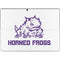 Horned Frogs TCU Surface Pro 8 Skin