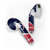 NFL Houston Texans Apple AirPods Skin