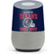 NFL Houston Texans Helmet Google Home Skin