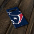 NFL Houston Texans Large Logo Galaxy S10 Plus Skin