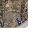 NFL Houston Texans Realtree AP Camo Surface Laptop Studio Skin