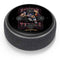 Liquid Blue NFL Houston Texans Running Back Amazon Echo Dot Skin