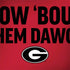 University of Georgia How Bout Them Dawgs Notebook 9 Pro 13in (2017) Skin