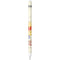 Disney Winnie the Pooh Hundred Acre Wood Apple Pencil (1st Gen, 2017) Skin