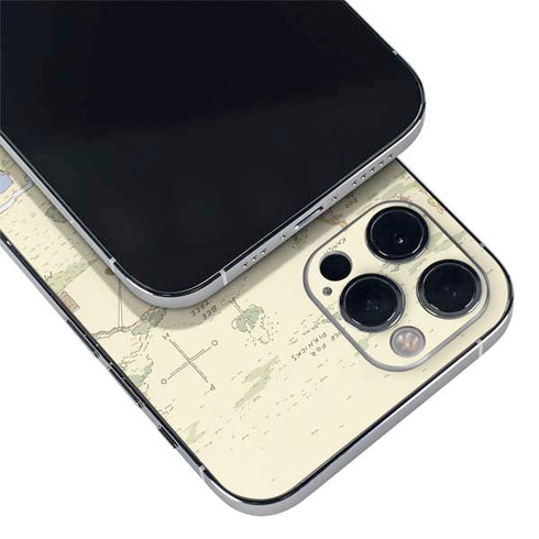 Disney Winnie the Pooh Hundred Acre Wood iPhone 12 Pro Max Skin