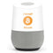 I Accept Bitcoin Google Home Skin