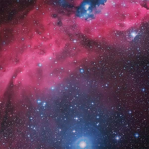 IC 2177 The Seagull Nebula Galaxy Note 8 Skin
