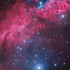 IC 2177 The Seagull Nebula Galaxy Note 8 Skin