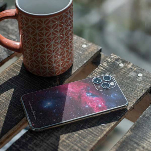 IC 2177 The Seagull Nebula iPhone 11 Pro Skin