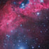 IC 2177 The Seagull Nebula iPhone X Pro Case