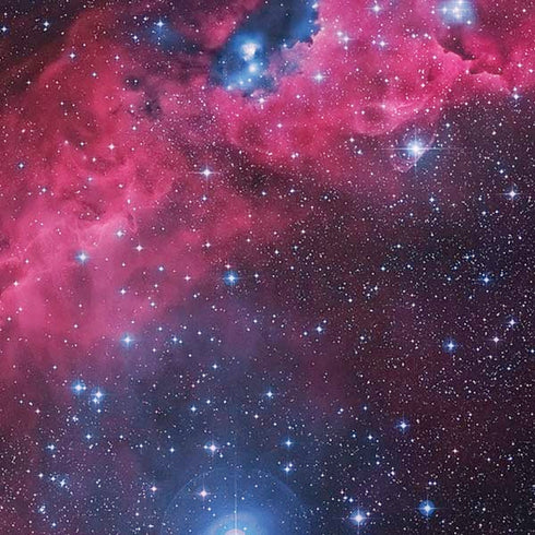 IC 2177 The Seagull Nebula iPhone XS Max Skin