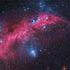 IC 2177 The Seagull Nebula Surface Book 2 13.5in Skin