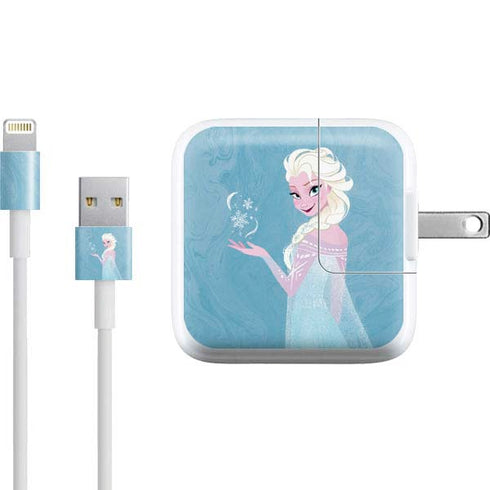 Disney Frozen Ice Blue Elsa Art iPad Charger (10W USB) Skin