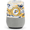 NBA Indiana Pacers Digi Camo Google Home Skin