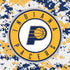 NBA Indiana Pacers Digi Camo PS4 Console and Controller Bundle Skin