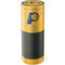 NBA Indiana Pacers Distressed Amazon Echo Skin