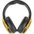NBA Indiana Pacers Distressed Skullcandy Venue Skin