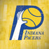 NBA Indiana Pacers Hardwood Classics iPhone X Pro Case