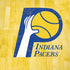 NBA Indiana Pacers Hardwood Classics iPhone XR Skin