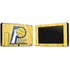 NBA Indiana Pacers Hardwood Classics Nintendo Switch Bundle Skin
