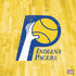 NBA Indiana Pacers Hardwood Classics PS4 Slim Bundle Skin