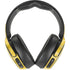NBA Indiana Pacers Hardwood Classics Skullcandy Venue Skin