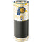 NBA Indiana Pacers Historic Blast Amazon Echo Skin