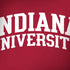 Indiana University Hoosiers Dell Alienware Skin
