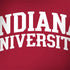 Indiana University Hoosiers Notebook 9 Pro 13in (2017) Skin