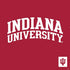 Indiana University Hoosiers PS4 Slim Skin