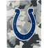 NFL Indianapolis Colts Camo PS5 Bundle Skin