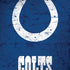 NFL Indianapolis Colts Distressed iPhone X Pro Case