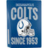 NFL Indianapolis Colts Helmet PS5 Console Skin