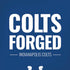 NFL Indianapolis Colts Team Motto iPhone X Pro Case