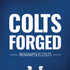 NFL Indianapolis Colts Team Motto iPhone X Skin