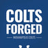 NFL Indianapolis Colts Team Motto iPhone XR Skin