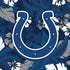 NFL Indianapolis Colts Tropical Print PS4 Pro Bundle Skin