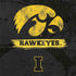 University of Iowa Hawkeyes Distressed Logo Nintendo 2DS XL (2017) Skin