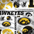 University of Iowa Hawkeyes Pattern Legion Y720 Skin