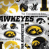 University of Iowa Hawkeyes Pattern Surface Book 2 13.5in Skin