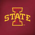 Iowa State University Primary Logo Amazon Echo Skin