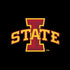 Iowa State University Primary Logo Black Amazon Echo Skin
