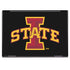 Iowa State University Primary Logo Black HP Envy Skin