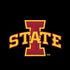 Iowa State University Primary Logo Black iPhone XS Max Skin