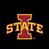 Iowa State University Primary Logo Black iPhone XS Skin