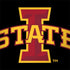 Iowa State University Primary Logo Black Apple MacBook Pro 15-inch Skin
