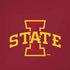 Iowa State University Primary Logo iPhone XS Skin
